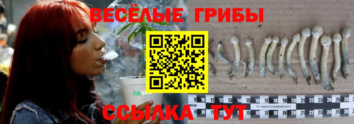 Галлюциногенные грибы прущие грибы Миллерово
